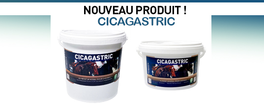 Nouveau produit : CICAGASTRIC 